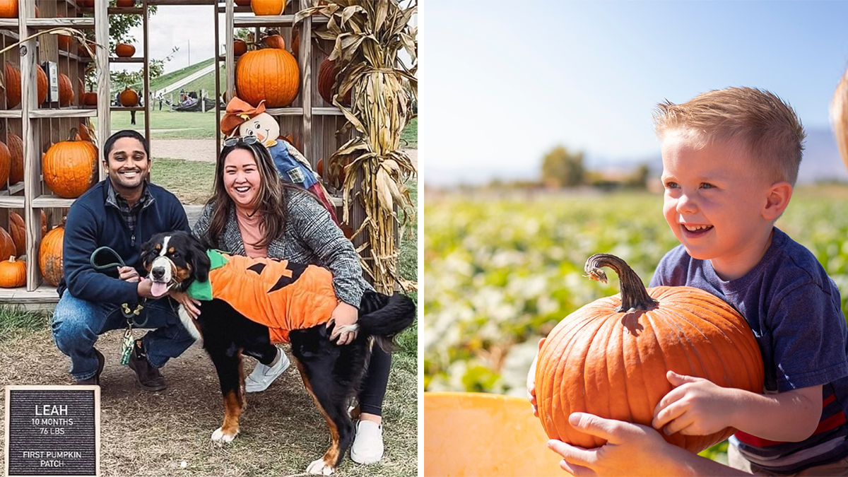 Fall Farm Fun in Lake County